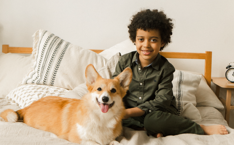 relation-enfant-chien
